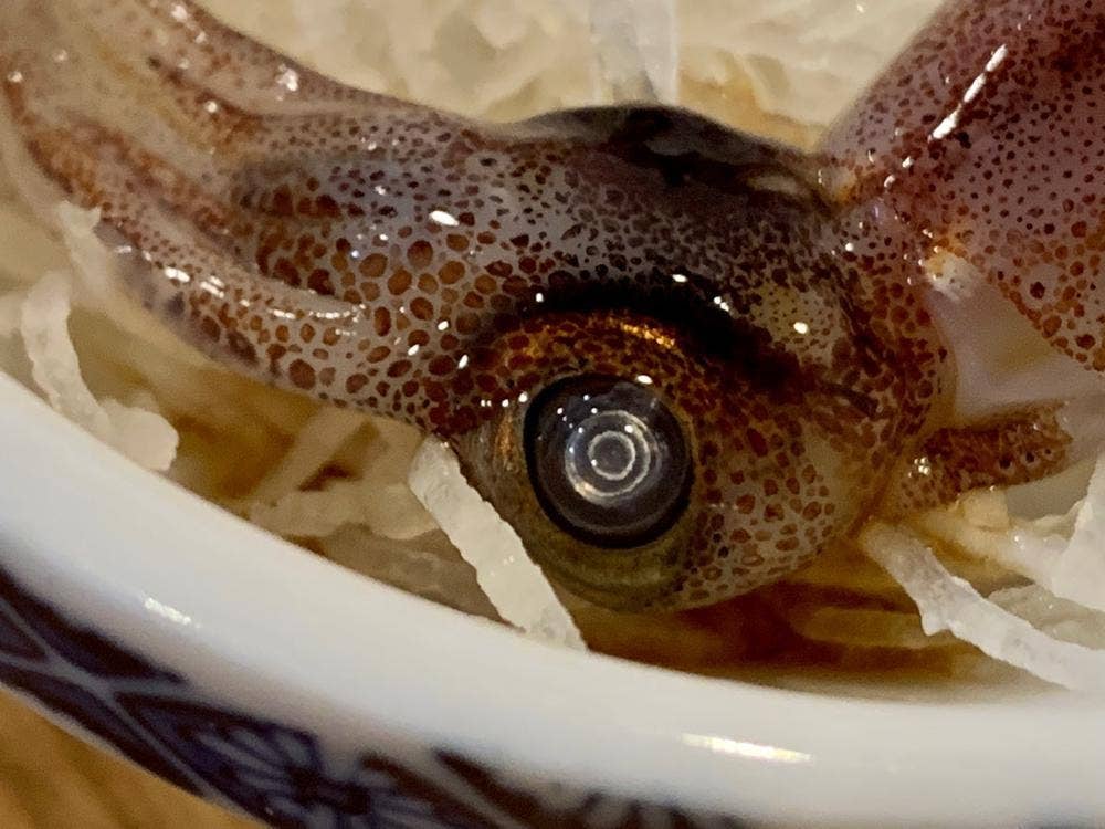 いろは