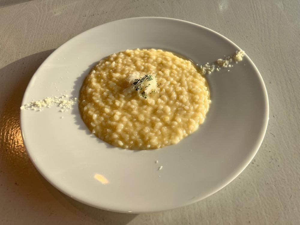 VENTO LEONE