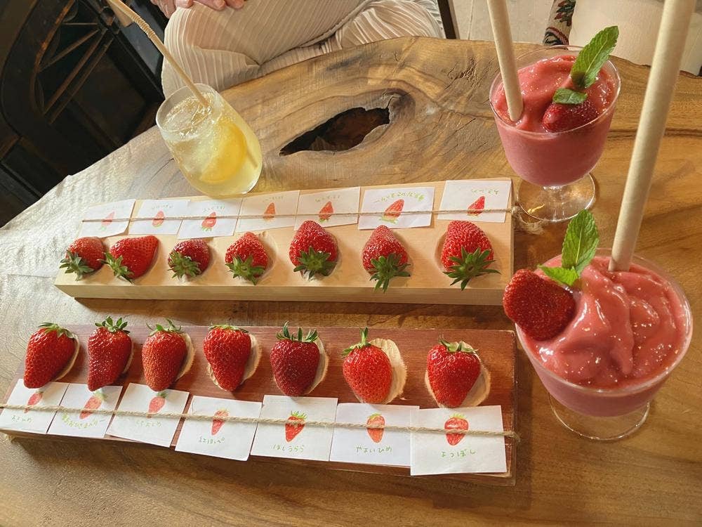 TSUMUGI舎