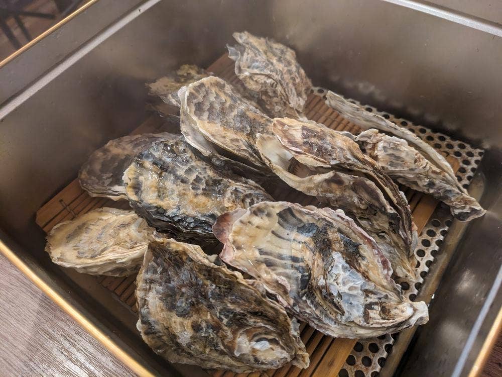 貝屋 マルホウ グランフェスタ6番街