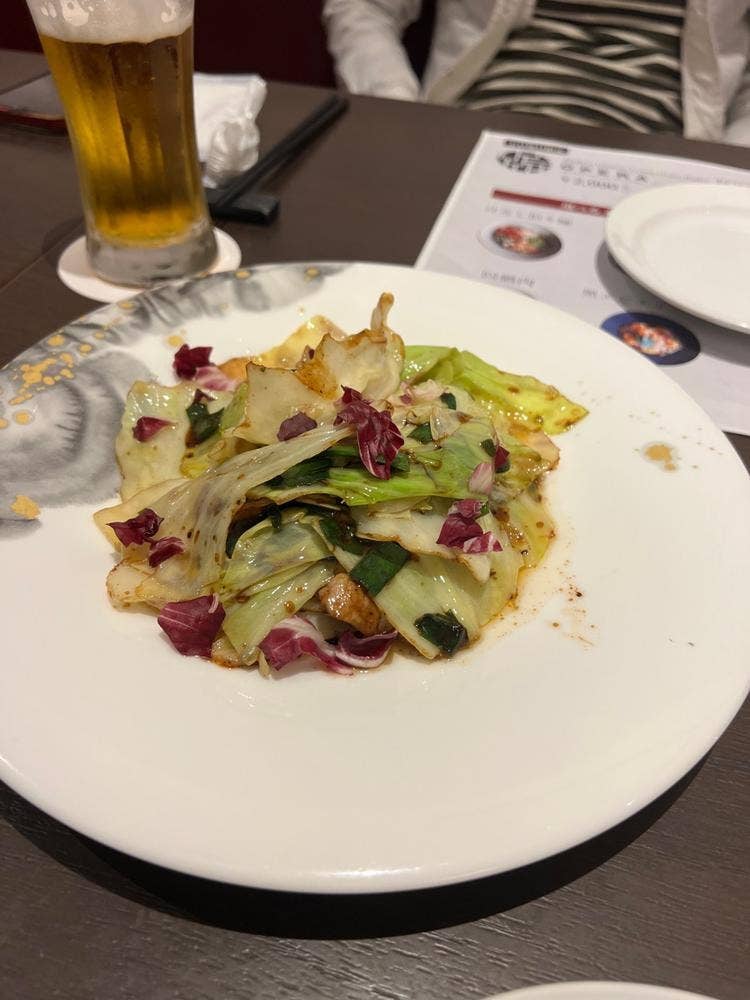 Modern Chinese Restaurant OPERA