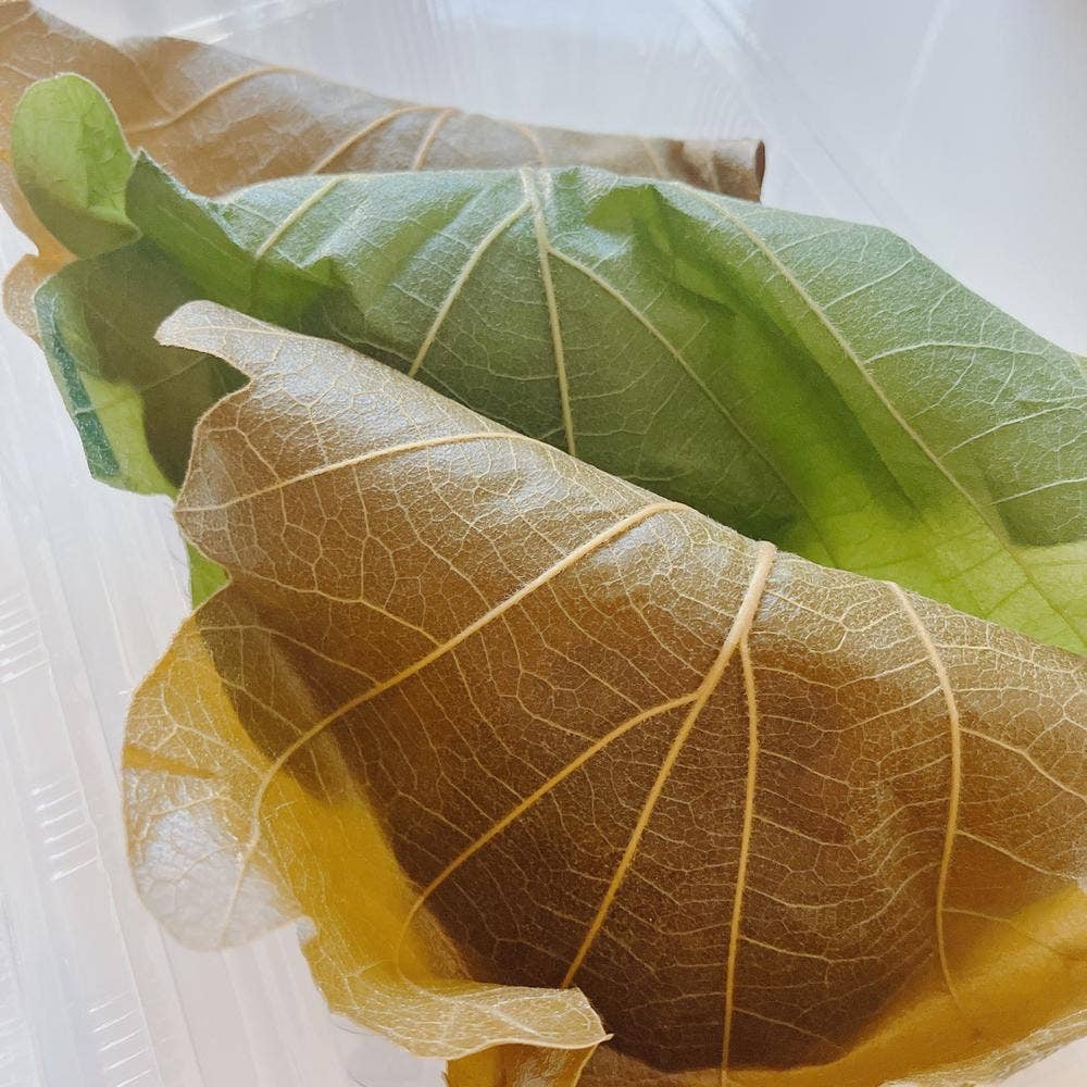 まほろ堂 蒼月