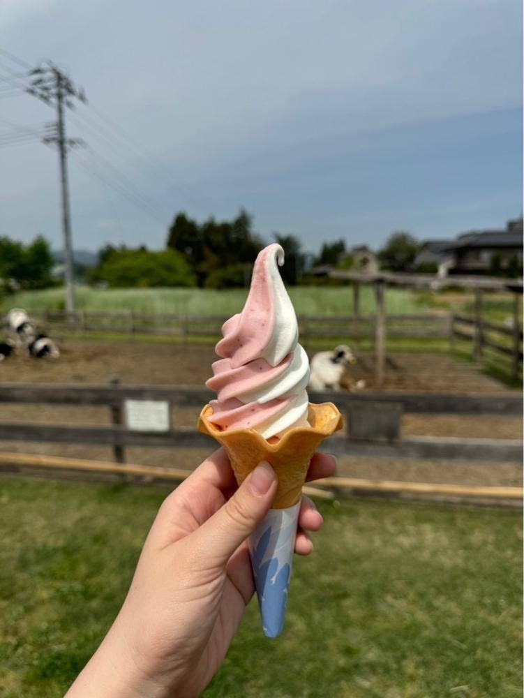 ささき牧場カフェ