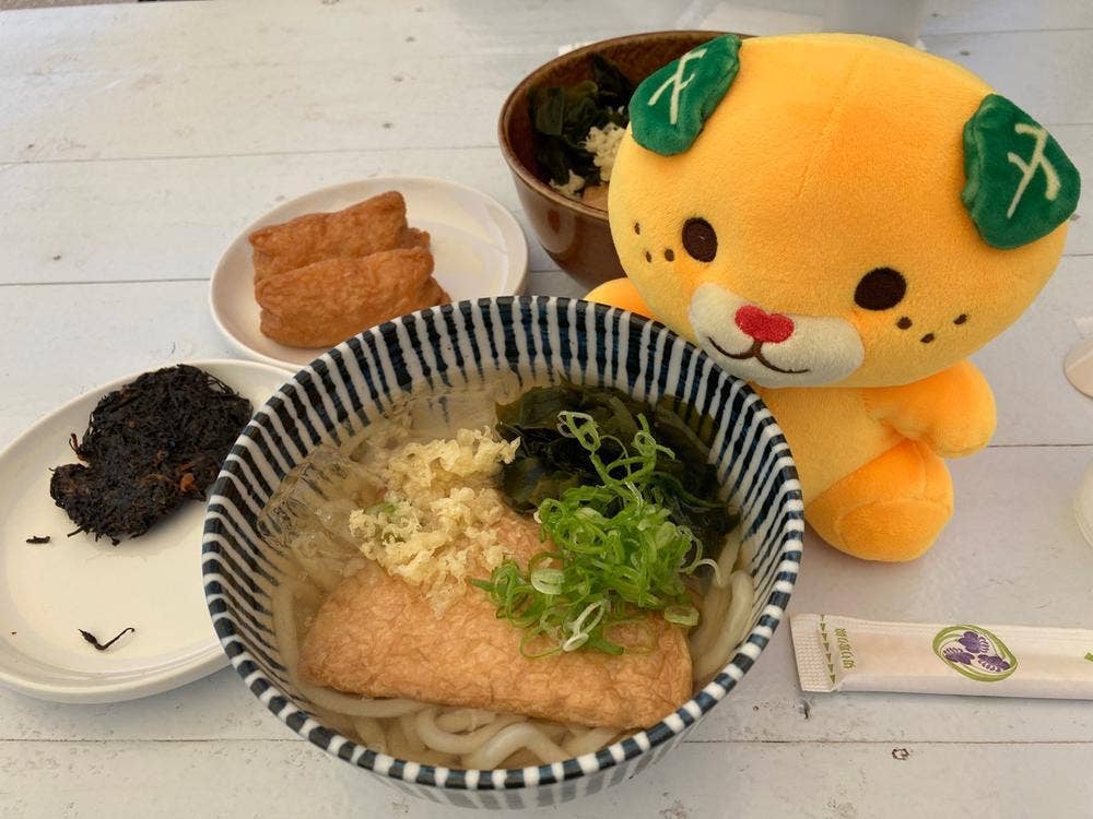 島うどん