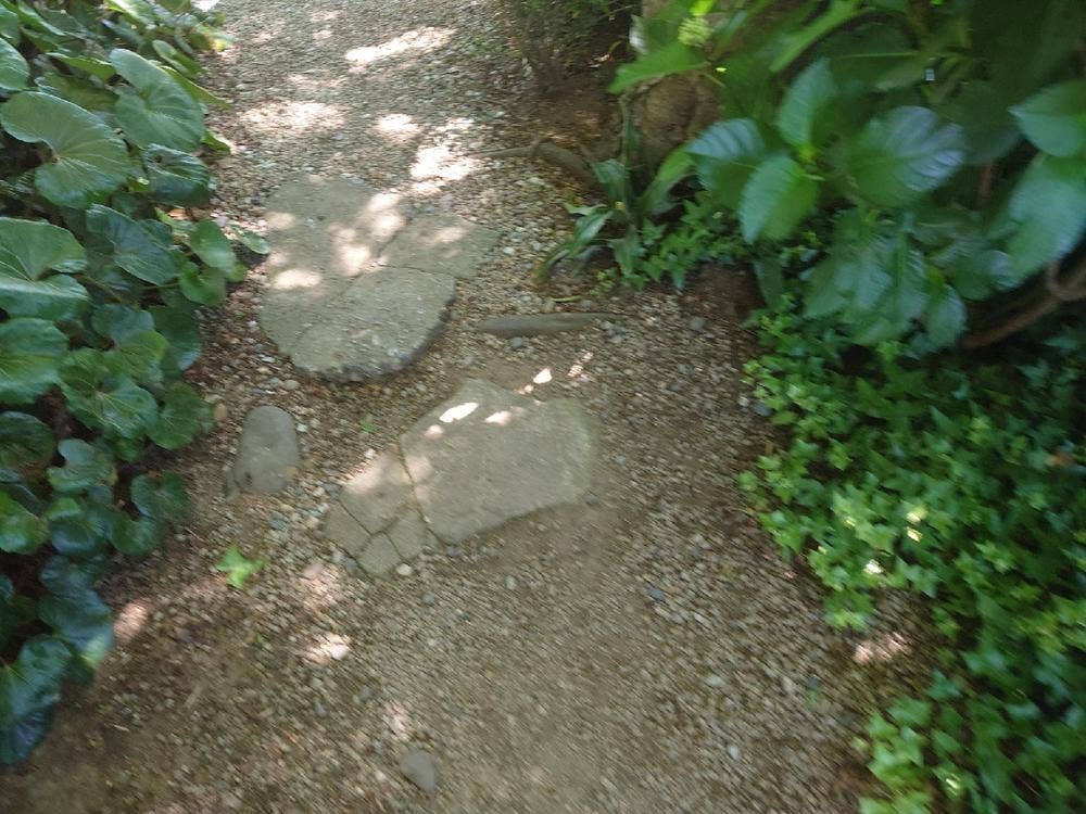 むぎとろ古民家すず