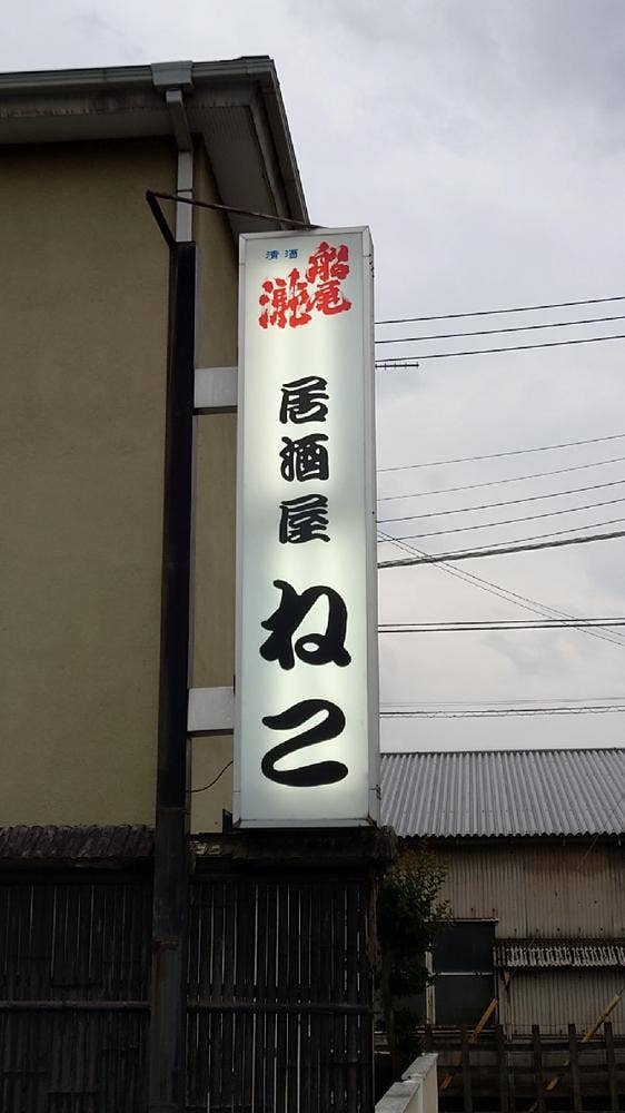 ねこ