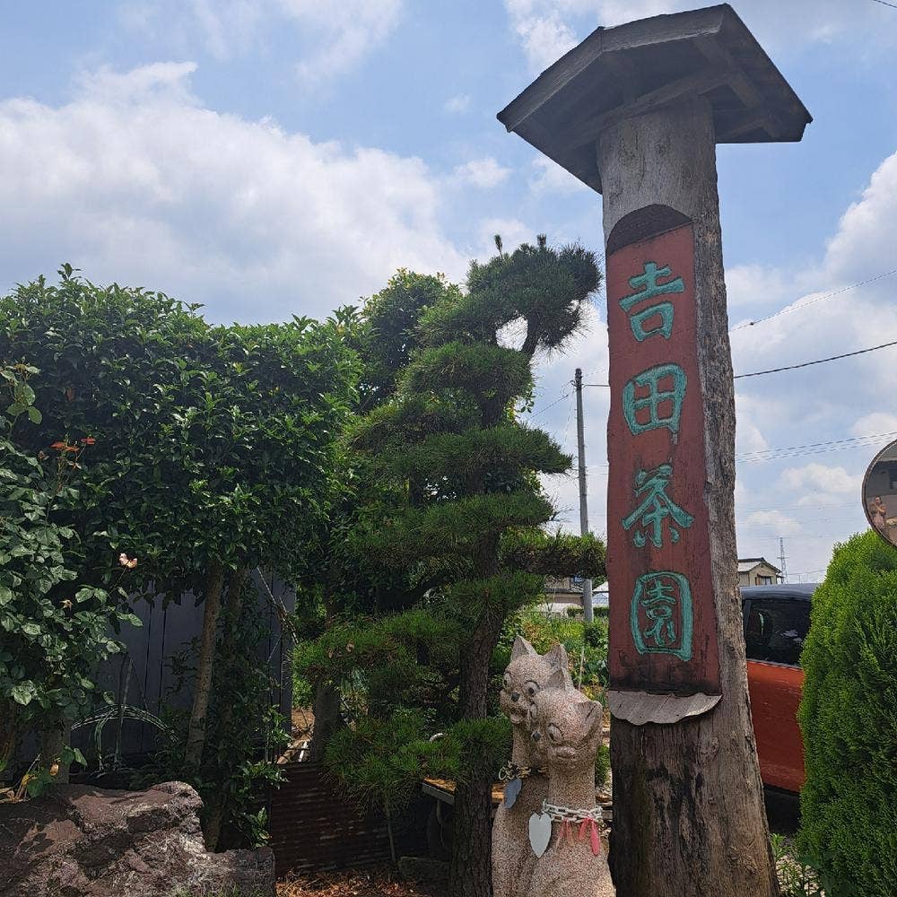 吉田茶園