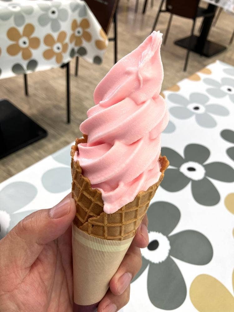 道の駅 西山公園