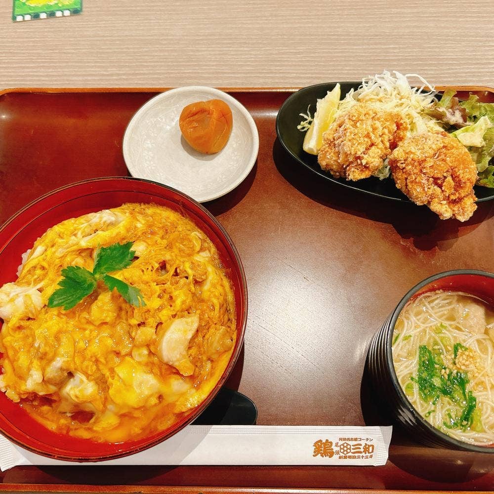 鶏 三和 三井アウトレットパーク木更津店