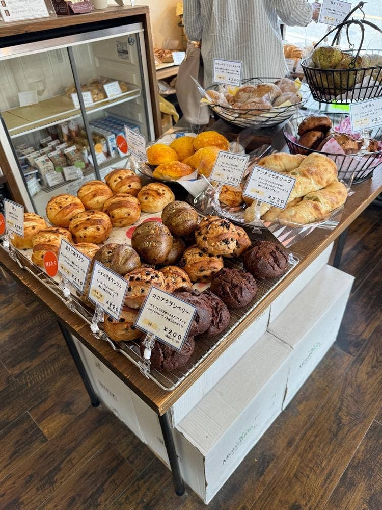 elephant bakery