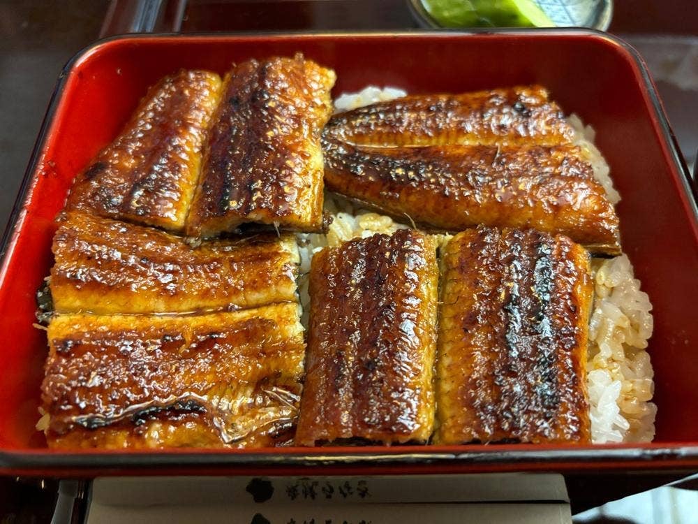 炭焼うなぎ あおいや