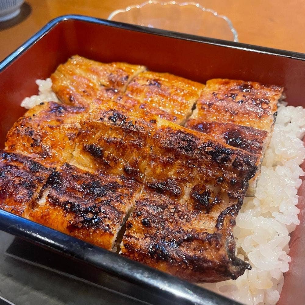 鰻のへそ