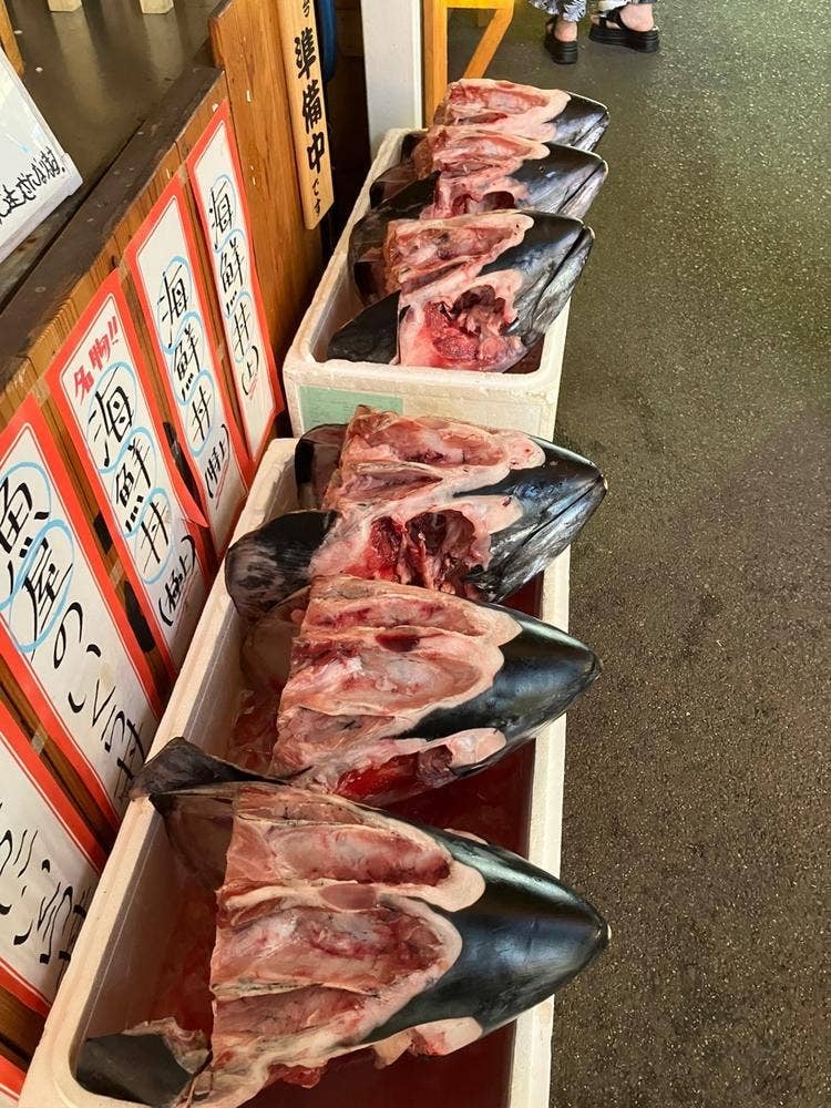 堺とれとれ市
