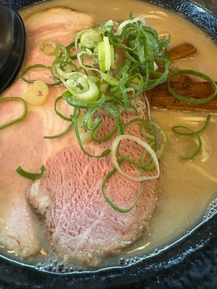 鶏白湯麺 樹