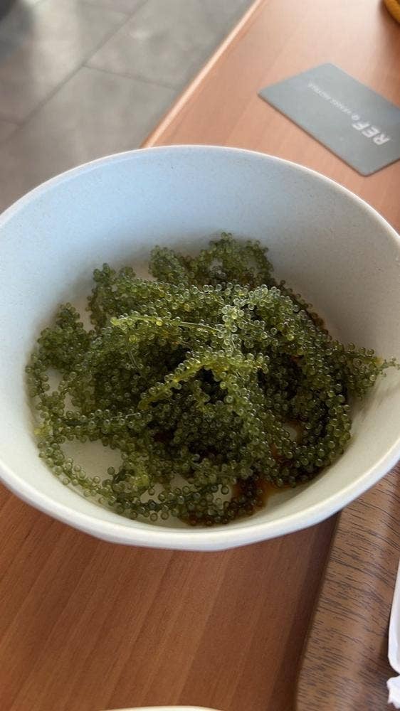 YURARIRA