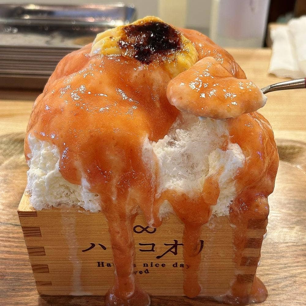 ハチコオリ