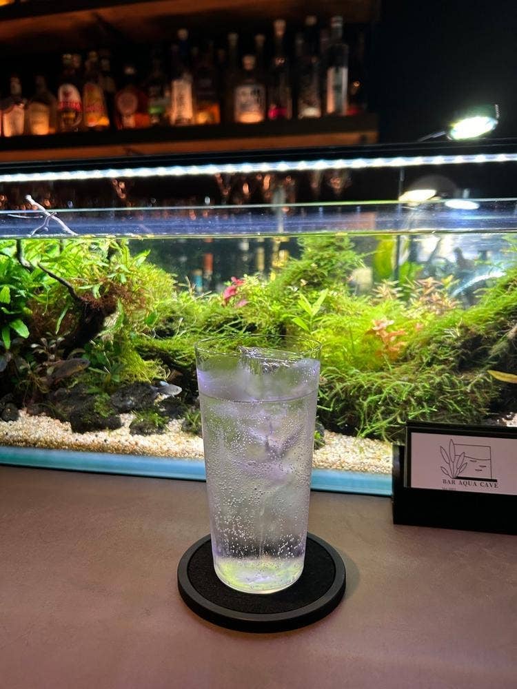 BAR AQUA CAVE