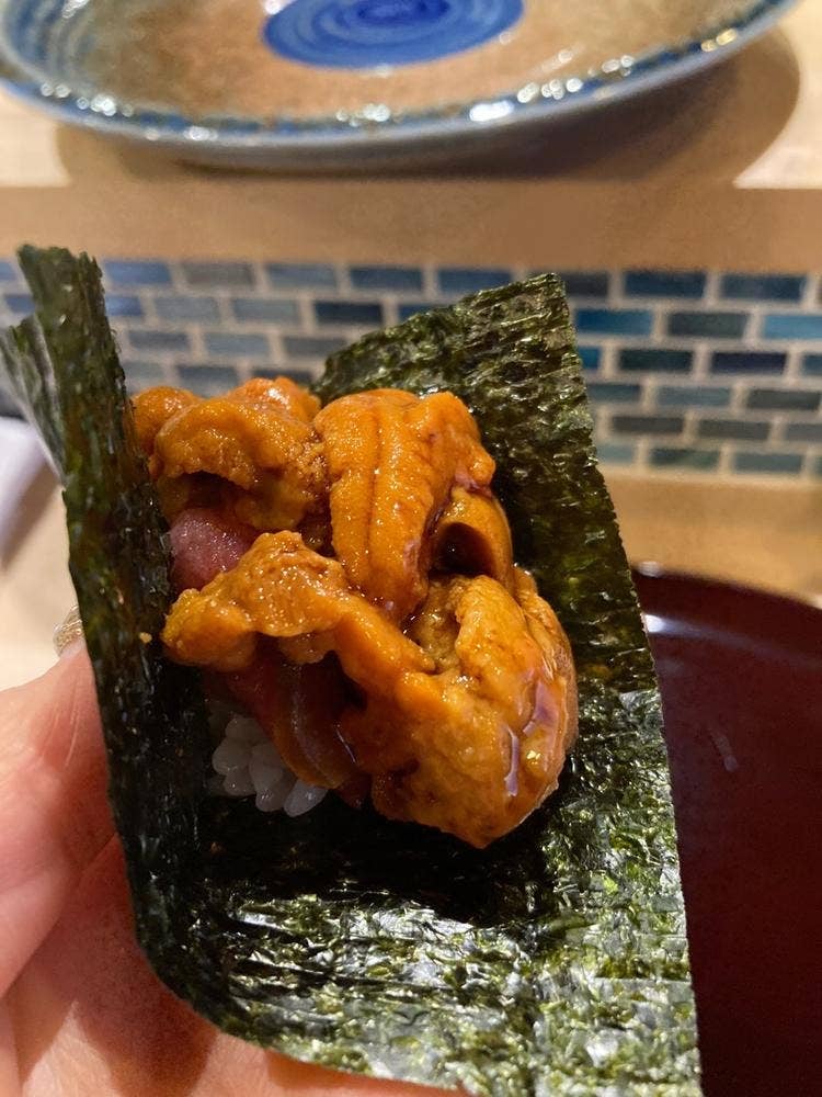 鮨 富海