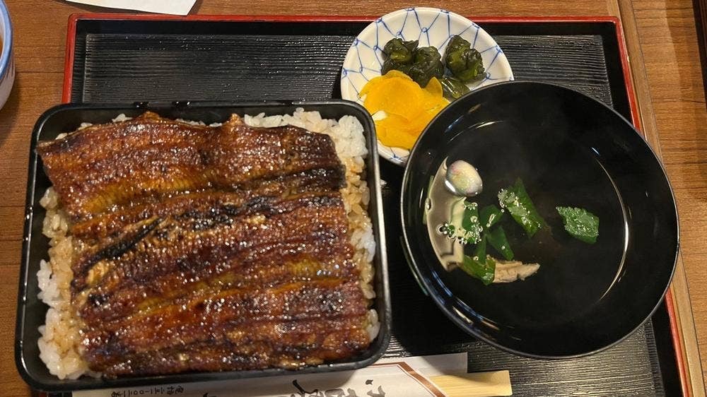 うなぎのやっこ
