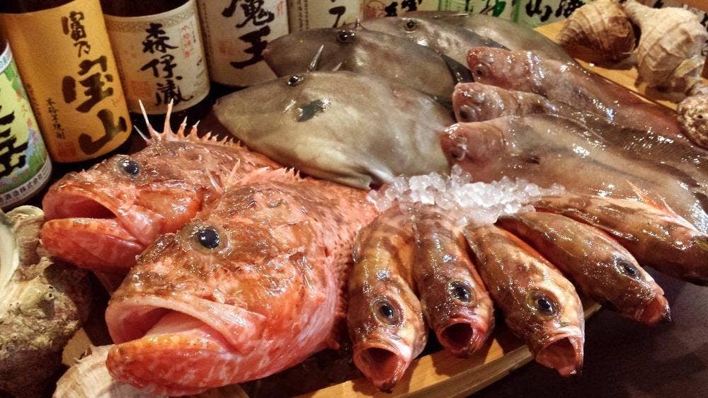 居酒屋 うかい