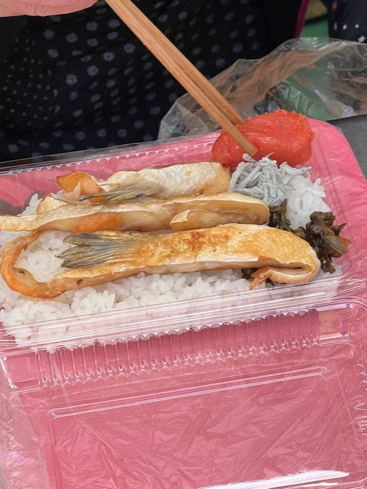 しらすドンドン