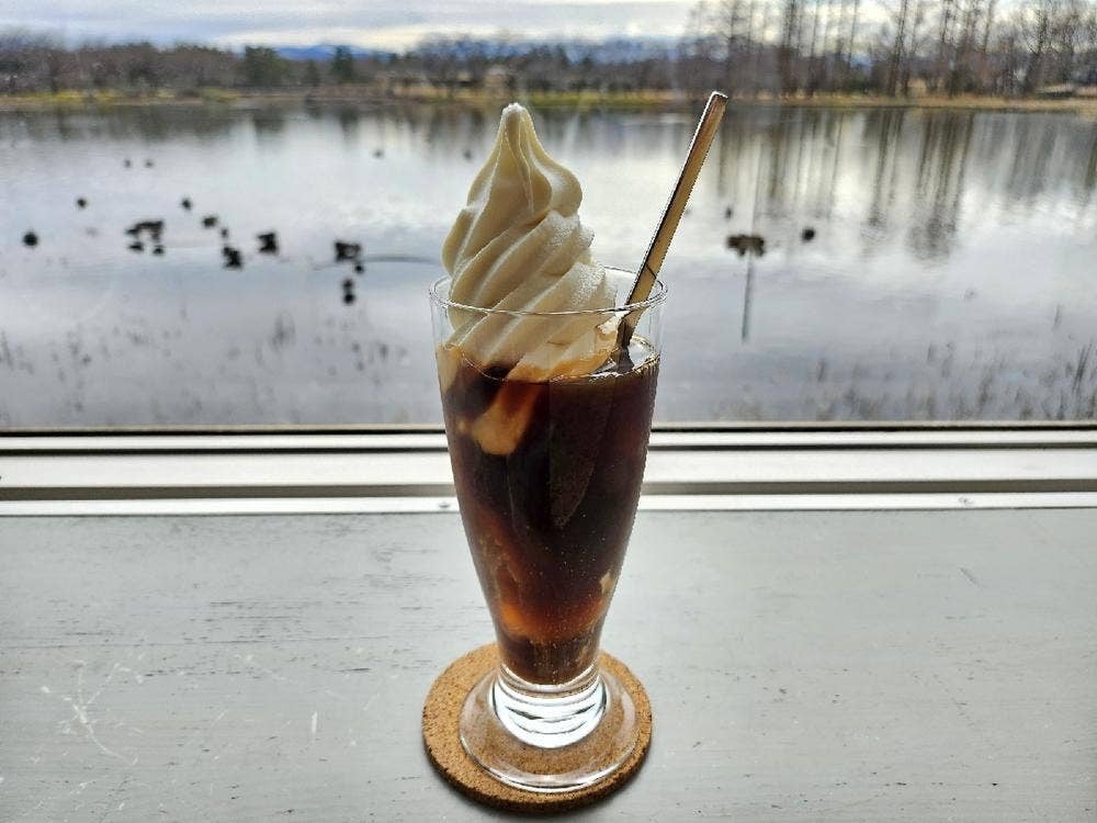 ココナッツ・アイランド中央植物園店