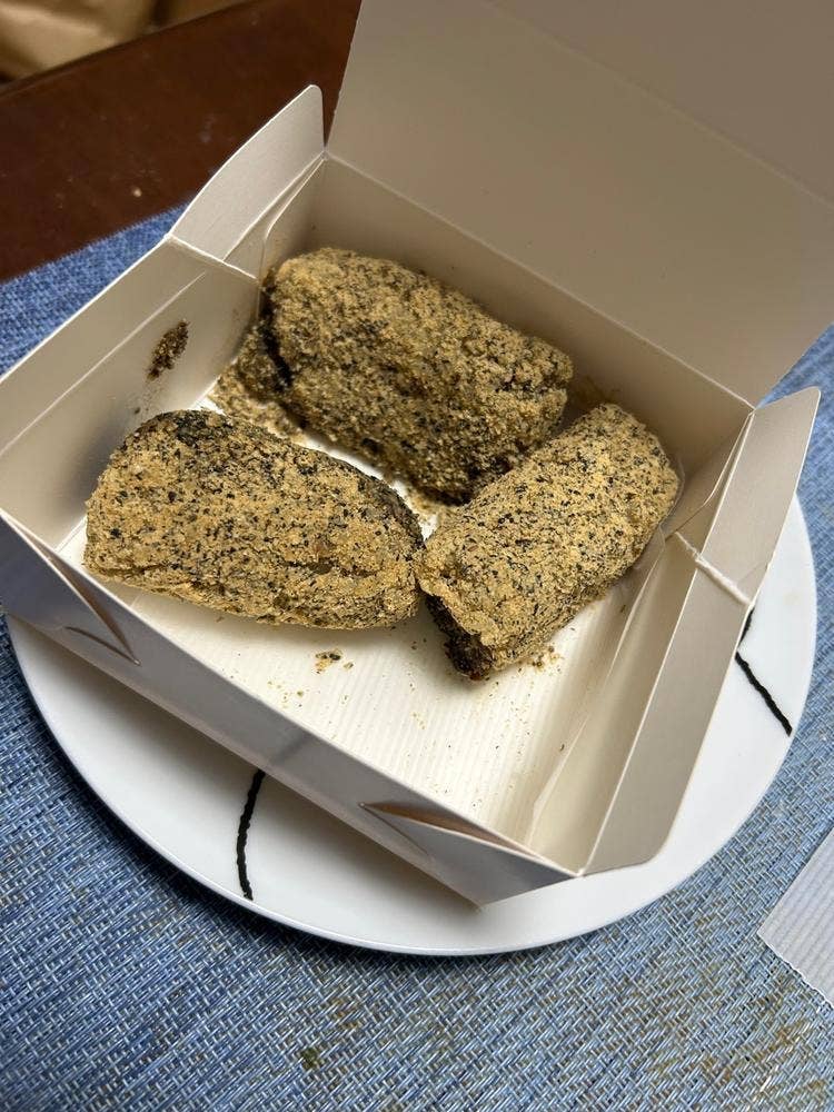 楽庵 老木や