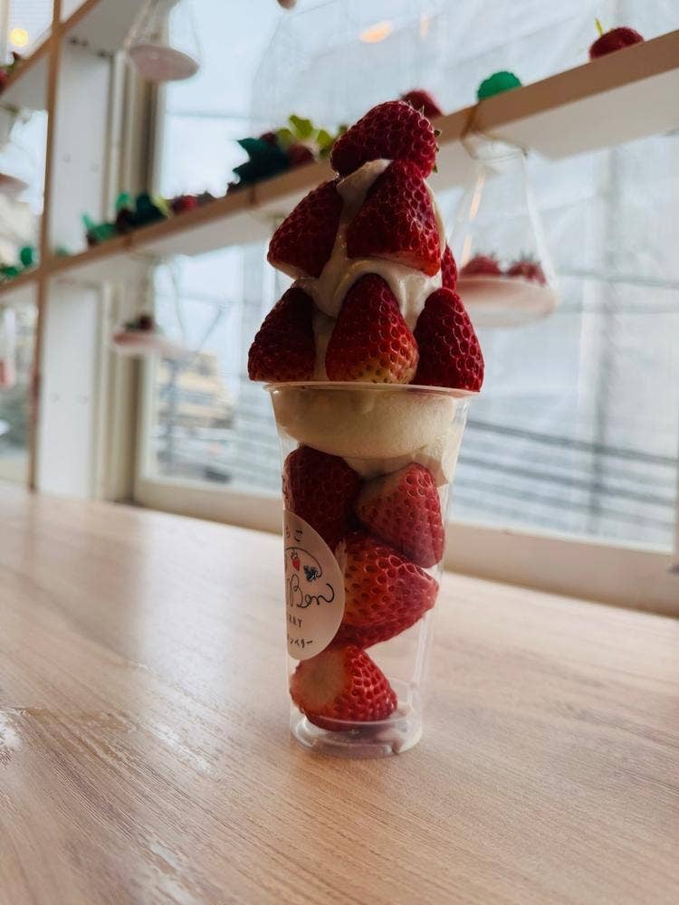 いちごBonBonBERRY ATAMI HOUSE