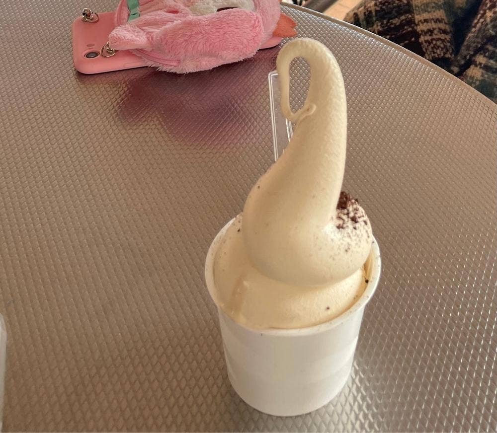 冬青珈琲店