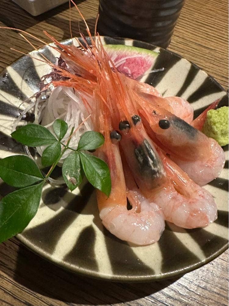 海だより