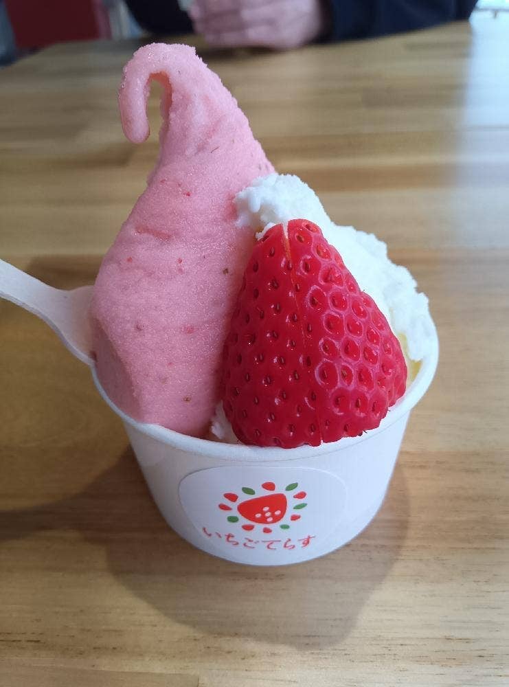 いちごてらす