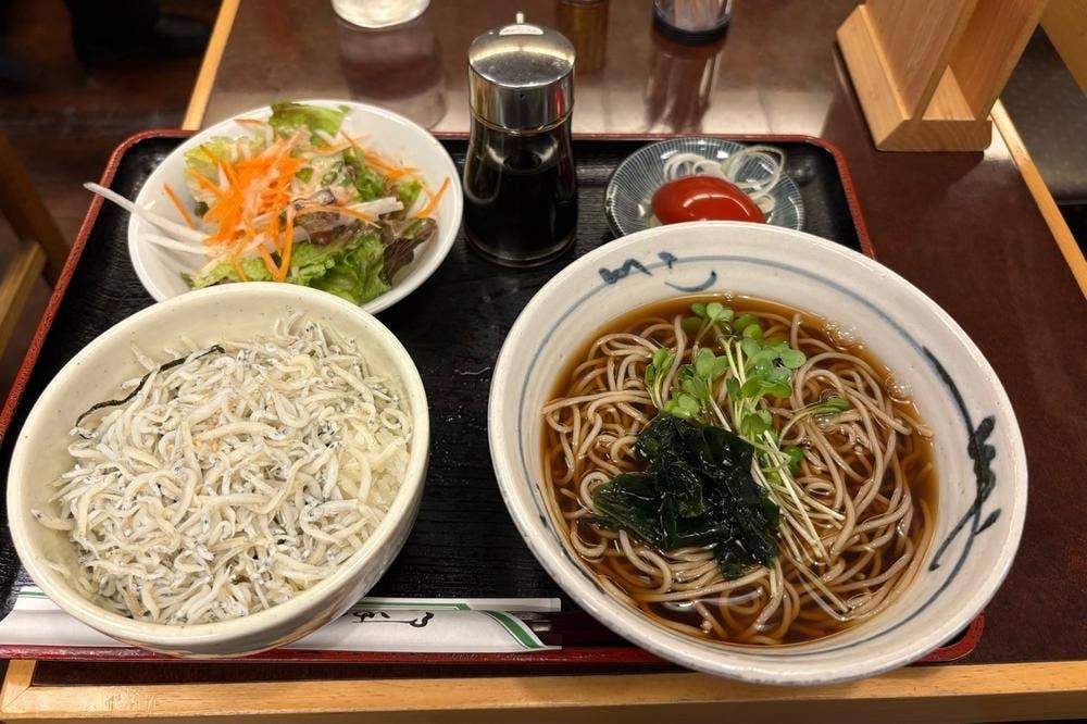 そば処 日の出