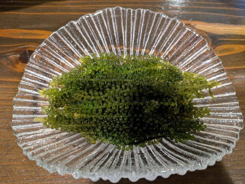 ゆいまーる 美ら島