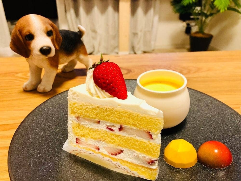 ポムホッペ