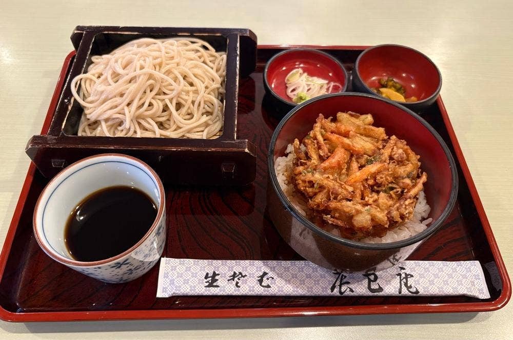 辰巳庵