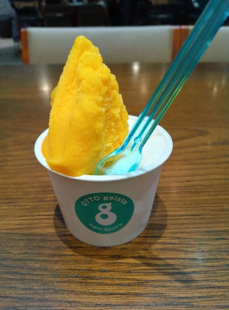 OTTO gelato