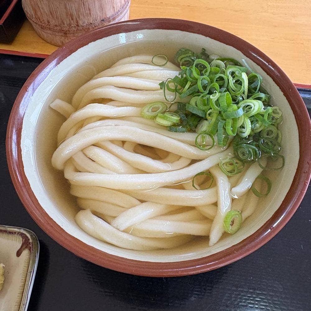 手打ちうどんますや