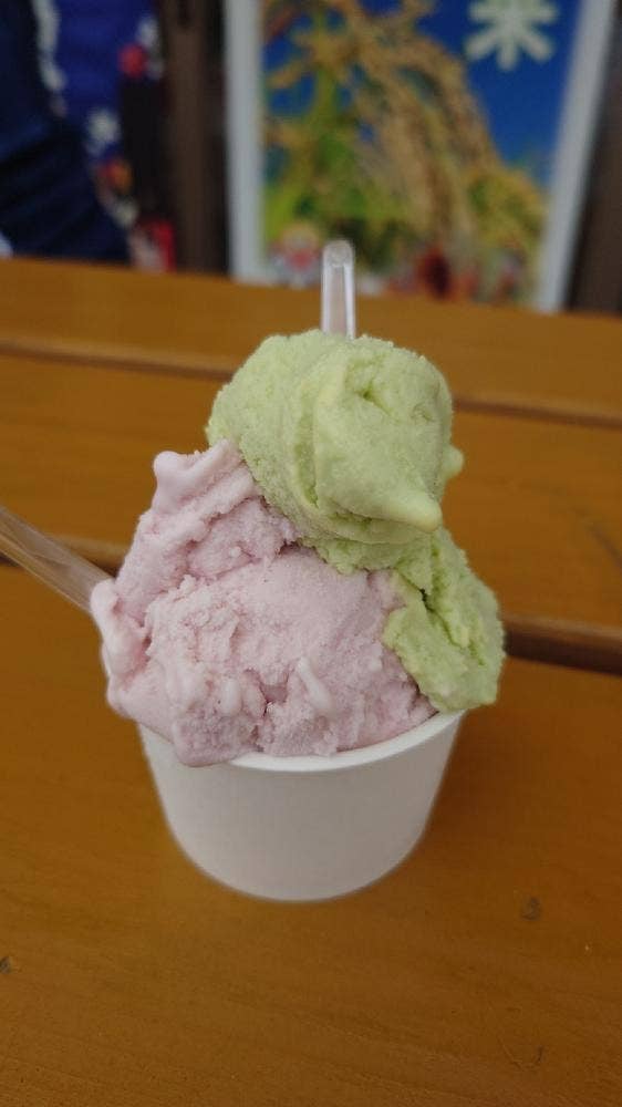 アイスショップ ウィンディーランド 道の駅ならは店