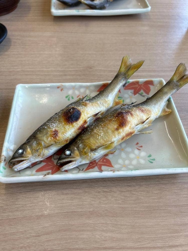 大瀬観光やな