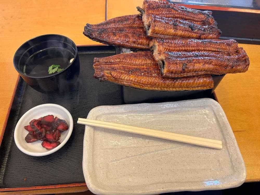 うな政 藤枝店