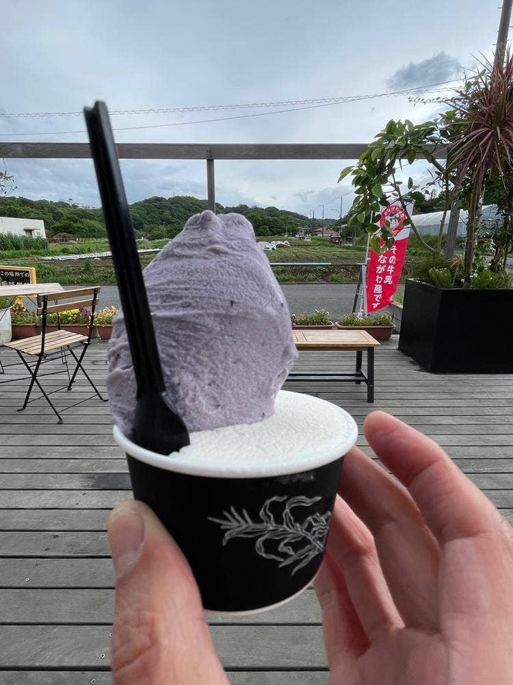 Gelateria Vega
