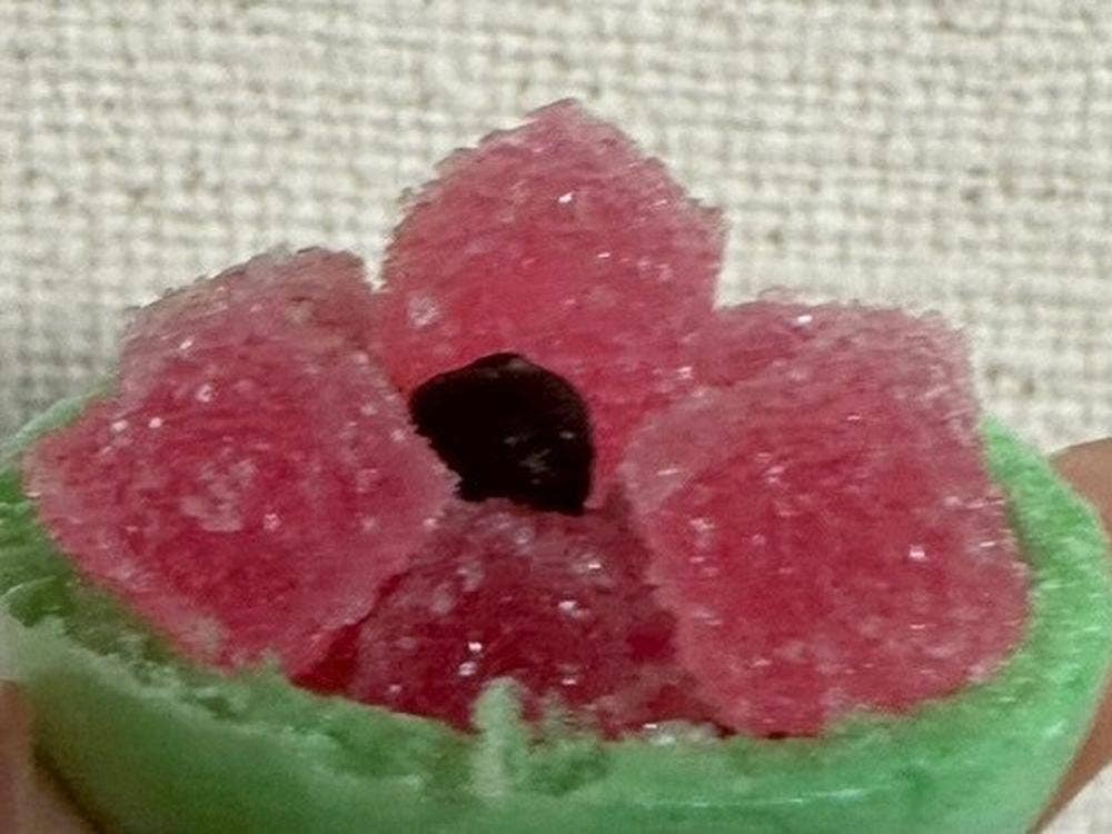 菓匠 髙木屋