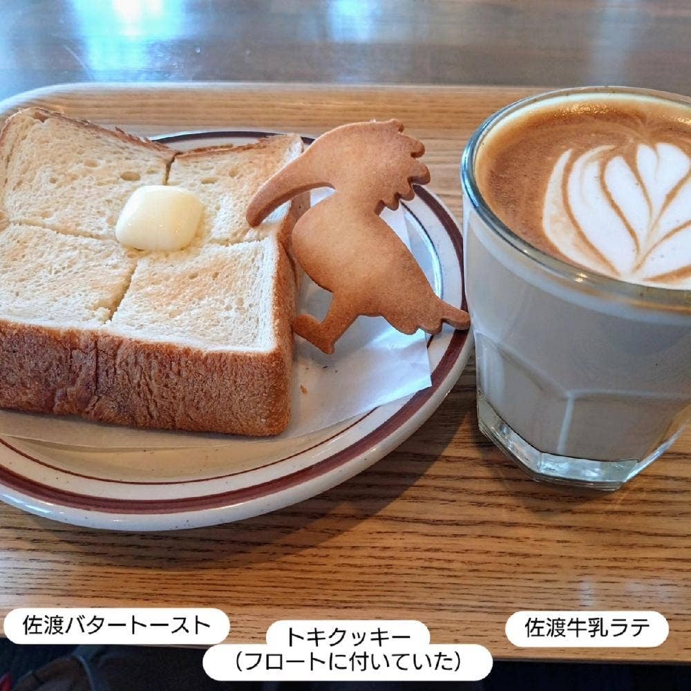 maSanicoffee