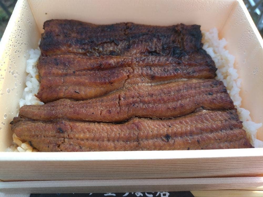 江戸屋うなぎ店