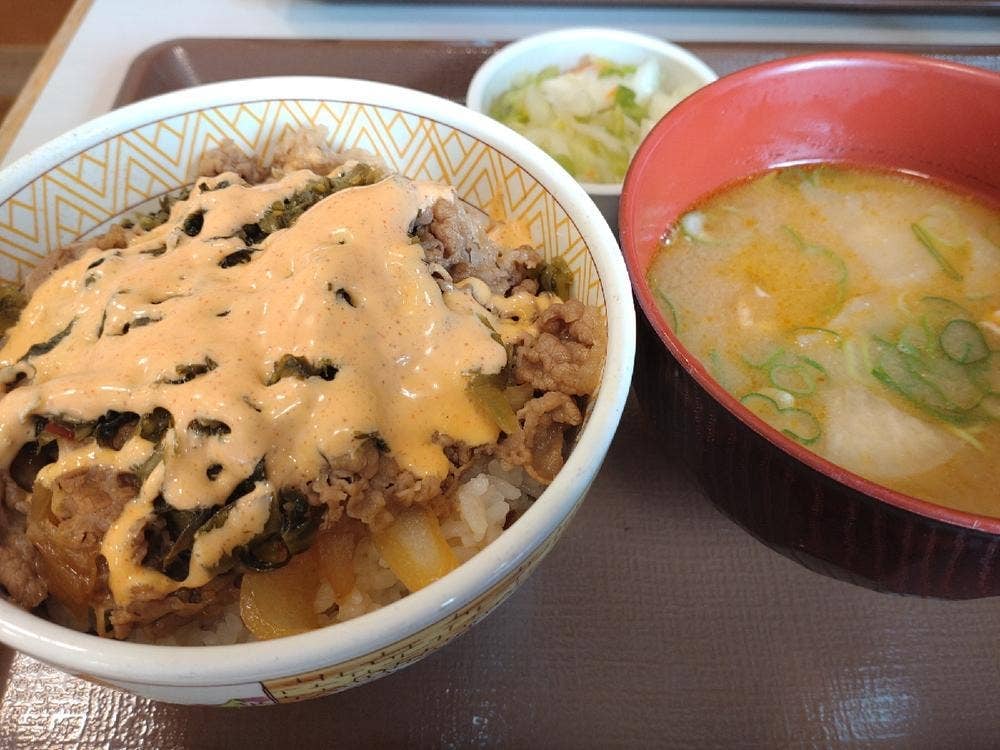 すき家 秋田泉店