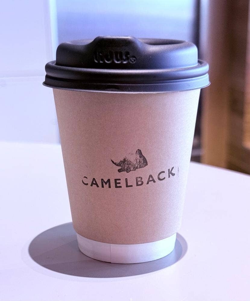 CAMELBACK