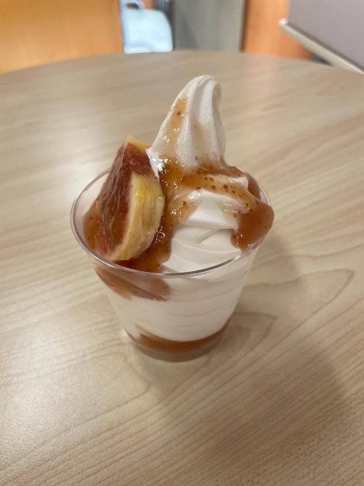 田布施地域交流館 Sakura_michi