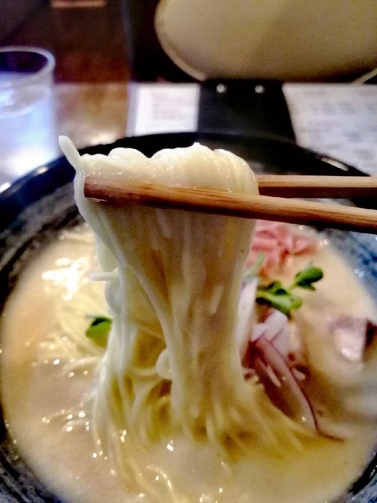 soup labo