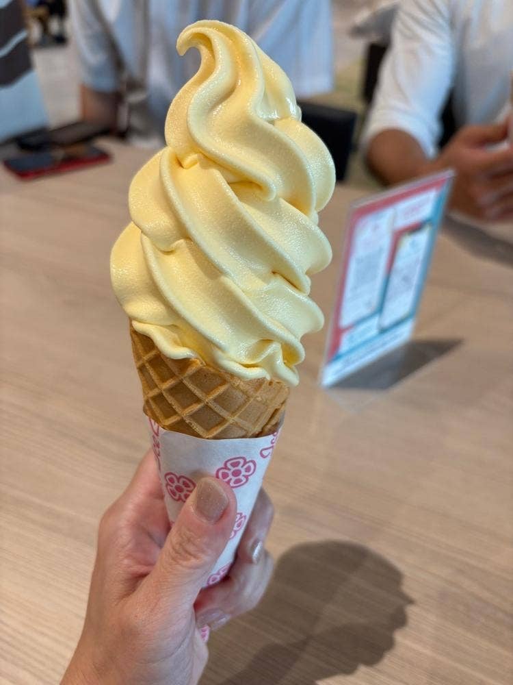 コッコファーム 阿蘇くまもと空港店