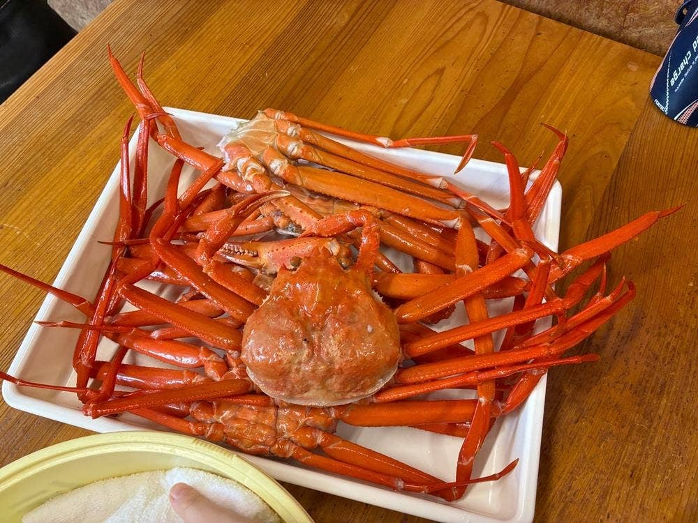 伝宝丸